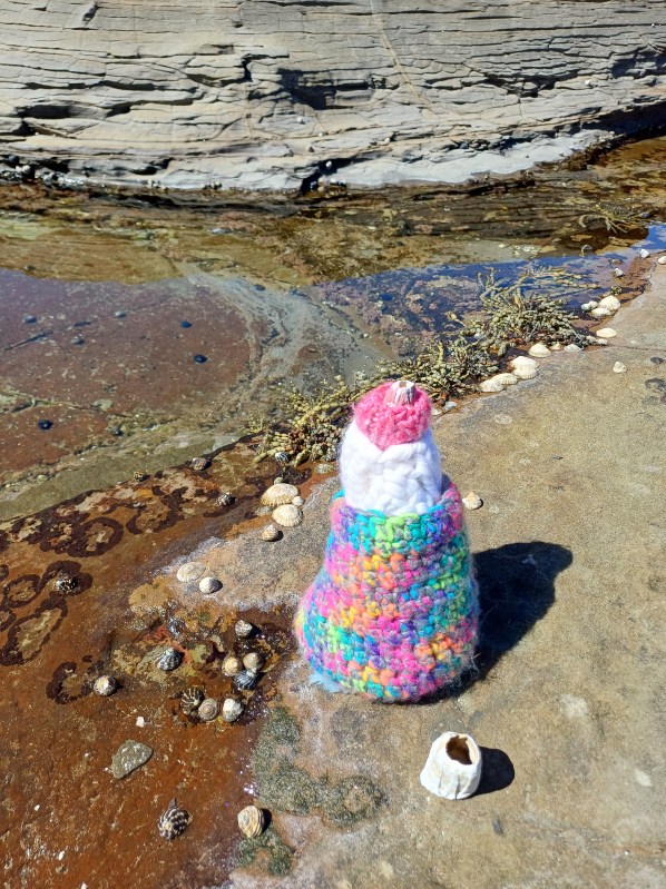 Tall crocheted and knitted barnacle with three telescoping sections: base is rainbow yarn, next section is white, top section is pink, and then a real barnacle shell is tucked in the top. It sits next to a large real barnacle shell and a rockpool by the ocean with other shellfish and seaweed