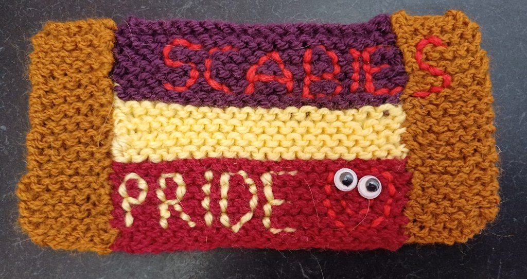 Knitted rectangular object in landscape view. Rectangle is made up of 3 horizontal stripes in purple, yellow and red, capped at each end with a vertical light brown stripe. Stitched into the flag in red and yellow are the words SCABIES PRIDE and a smiley face with googley eyes.