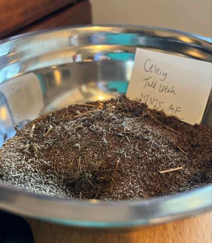 A shiny metal bowl containing a mound of black celery seeds
