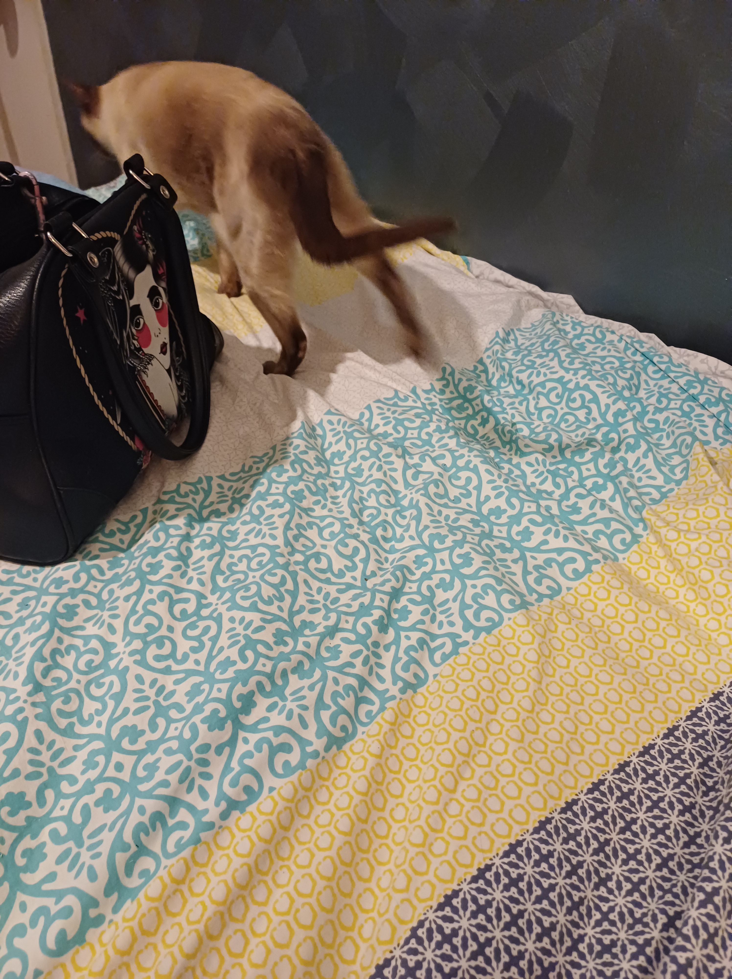 Bed with a cat and a handbag. The cat is walking away from the camera. The bedcover is wrinkled.