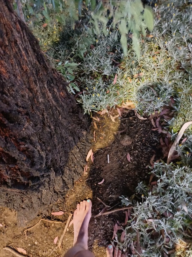 a bare foot standing on dirt by a tree trunk; it is night and you can see the person's shadow on the ground