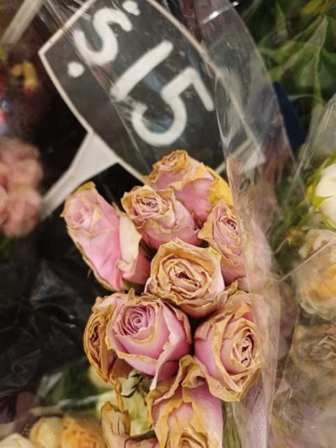 a bunch of pink roses that are mostly dead, with a lot of brown around the petal edges. They are wrapped in cellophane and there is a marked price $15