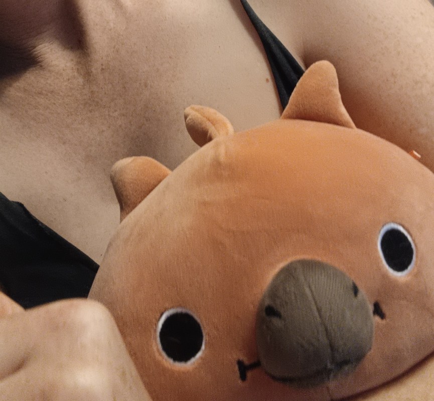 selfie of a person's decolletage and them holding a brown plush toy. you can only see the face of the soft toy. It has round black eyes, a large brown beak, and small triangle ears on top of its head