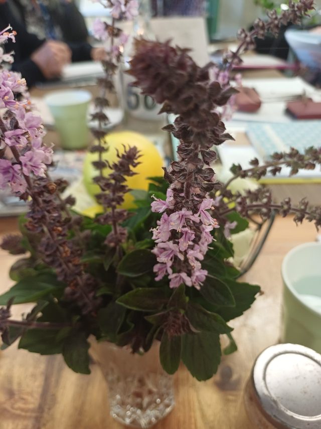 perennial basil on a cafe table, with a grapefruit visible in the background