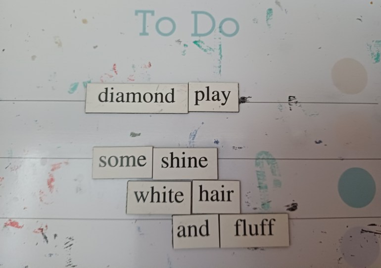 photo of the magnetic poetry poem